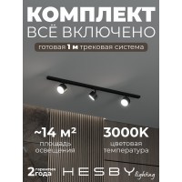 Комплект трековый Hesby Lighting Skylite №13 HSBL_kompl_S013_NI1B3K