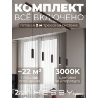 Комплект трековый Hesby Lighting Skylite №12 HSBL_kompl_S012_NI2B3K