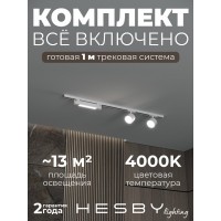 Комплект трековый Hesby Lighting Skylite №14 HSBL_kompl_S014_NI1W4K