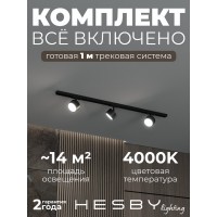 Комплект трековый Hesby Lighting Skylite №13 HSBL_kompl_S013_NI1B4K