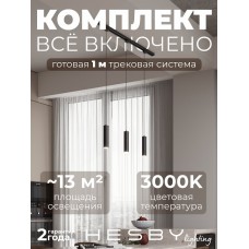 Комплект трековый Hesby Lighting Skylite №12 HSBL_kompl_S012_NI1B3K