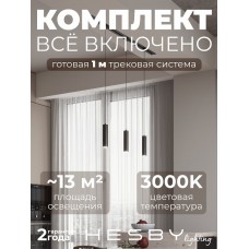 Комплект трековый Hesby Lighting Skylite №12 HSBL_kompl_S012_VI1B3K