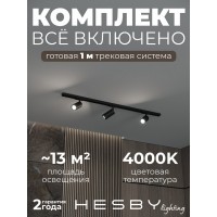 Комплект трековый Hesby Lighting Skylite №3 HSBL_kompl_S003_NI1B4K