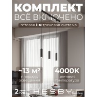 Комплект трековый Hesby Lighting Skylite №12 HSBL_kompl_S012_NI1B4K