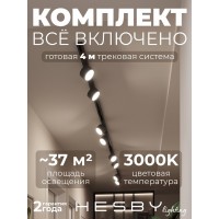 Комплект трековый Hesby Lighting Skylite №13 HSBL_kompl_S013_NI4B3K
