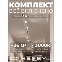 Комплект трековый Hesby Lighting Skylite №3 HSBL_kompl_S003_VI4W3K