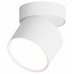 Накладной светильник Hesby Lighting Mysen HSBL_0179 Накладной светильник Hesby Lighting Mysen HSBL_0179
