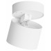 Накладной светильник Hesby Lighting Mysen HSBL_0179 Накладной светильник Hesby Lighting Mysen HSBL_0179