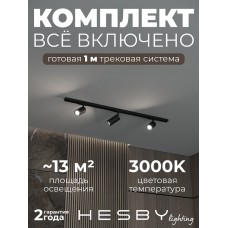 Комплект трековый Hesby Lighting Skylite №3 HSBL_kompl_S003_NI1B3K