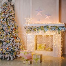 Гирлянда Eurosvet бахрома белый 1,8*0,6м IP20 100-001 белый Гирлянда Eurosvet бахрома белый 1,8*0,6м IP20 100-001 белый