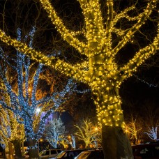 Гирлянда Eurosvet нить 20м IP65 400-102 белый Гирлянда Eurosvet нить 20м IP65 400-102 белый