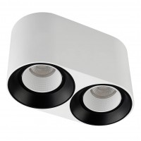 Накладной светильник Denkirs DK3096-WB+WH Накладной светильник Denkirs DK3096-WB+WH