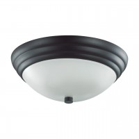 Настенно-потолочный Lumion Kayla 5263/2C