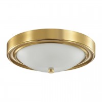 Настенно-потолочный светильник Lumion Nina 5259/2C