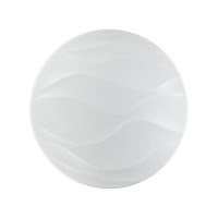 Настенно-потолочный светодиодный светильник Sonex Erica 2090/EL