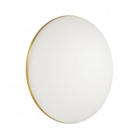 Настенно-потолочный светодиодный светильник Sonex Lassa 3043/EL