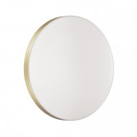 Настенно-потолочный светодиодный светильник Sonex Smalli 3048/CL