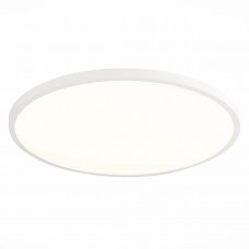 Настенно-потолочный светодиодный светильник ST Luce ST601.542.48