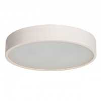 Настенный потолочный светильник Kanlux JASMIN 470-W 23125