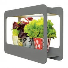 Настольная лампа Uniel ULT-P30-15W/SPFS IP40 Grey UL-00002836 Настольная лампа Uniel ULT-P30-15W/SPFS IP40 Grey UL-00002836