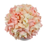 Настольная лампа Uniel ULW-R07 T/3000K/150C/A Гортензия Белый/Радужный UL-00007231 Настольная лампа Uniel ULW-R07 T/3000K/150C/A Гортензия Белый/Радужный UL-00007231