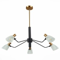 Подвесная люстра Evoluce Lita SLE205403-05 Подвесная люстра Evoluce Lita SLE205403-05