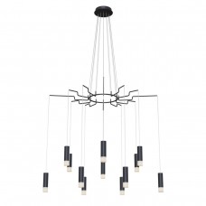 Подвесная люстра Maytoni Davida MOD035PL-12B