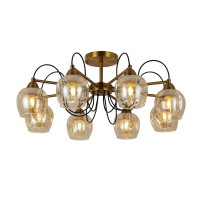 Потолочная люстра Evoluce Acro SLE110002-08 Потолочная люстра Evoluce Acro SLE110002-08