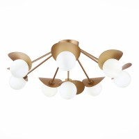 Потолочная люстра Evoluce Bolzano SLE220502-08 Потолочная люстра Evoluce Bolzano SLE220502-08