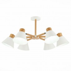 Потолочная люстра Evoluce Buve SLE103702-06