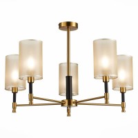 Потолочная люстра Evoluce Granze SLE300302-05 Потолочная люстра Evoluce Granze SLE300302-05