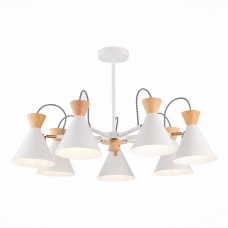 Потолочная люстра Evoluce Modica SLE125102-07