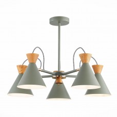 Потолочная люстра Evoluce Modica SLE125112-05