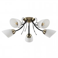 Потолочная люстра Lumion Eliana 4592/5C