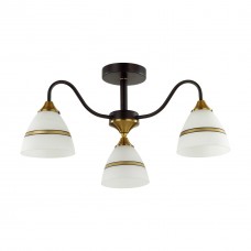 Потолочная люстра Lumion Nettie 5214/3C