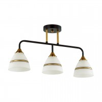Потолочная люстра Lumion Nettie 5214/3CA