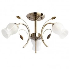 Потолочная люстра MW-Light Флора 256018103