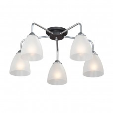 Потолочная люстра Vitaluce V4500-9/5PL