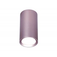 Потолочный светильник Ambrella light Techno Spot TN220 Потолочный светильник Ambrella light Techno Spot TN220