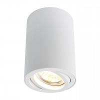 Потолочный светильник Arte Lamp A1560PL-1WH Потолочный светильник Arte Lamp A1560PL-1WH