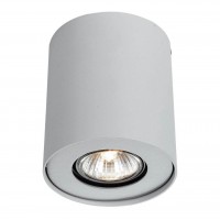 Потолочный светильник Arte Lamp Falcon A5633PL-1WH