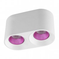 Потолочный светильник Denkirs DK3020WPI DK3096-WH+PI Потолочный светильник Denkirs DK3020WPI DK3096-WH+PI