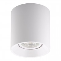 Потолочный светильник Denkirs DK3040-WH Потолочный светильник Denkirs DK3040-WH