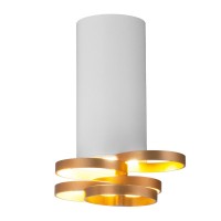 Потолочный светильник Elektrostandard DLN102 GU10 белый/золото 4690389148781 Потолочный светильник Elektrostandard DLN102 GU10 белый/золото 4690389148781