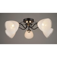 Потолочная люстра Hiper Cleo H210-5 Потолочная люстра Hiper Cleo H210-5