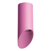 Потолочный светильник Lightstar Rullo (214432+201432) R43232 Потолочный светильник Lightstar Rullo (214432+201432) R43232