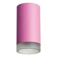 Потолочный светильник Lightstar Rullo (214432+202430) R43230 Потолочный светильник Lightstar Rullo (214432+202430) R43230