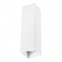 Потолочный светильник Lightstar Rullo 216596