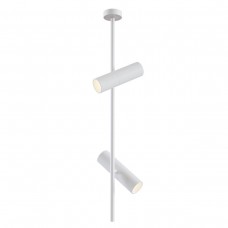 Потолочный светильник Maytoni Elti C021CL-02W