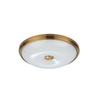 Потолочный светильник Odeon Light Pelow 4956/4 Потолочный светильник Odeon Light Pelow 4956/4